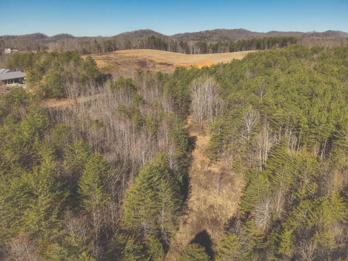 Tract 2 Curtis Road, Tellico Plains, TN 37385 - #1