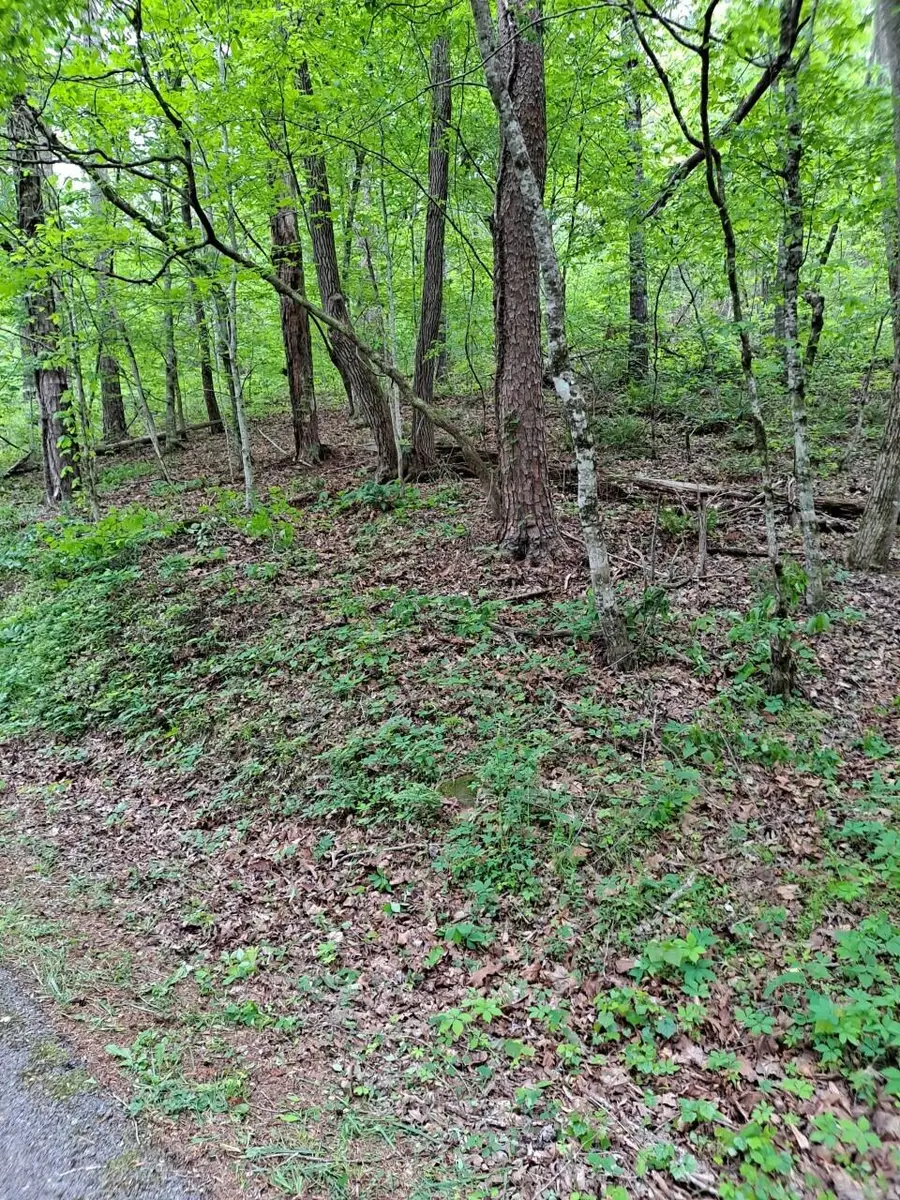 00 Childers Creek, Reliance, TN 37369 - Image #2