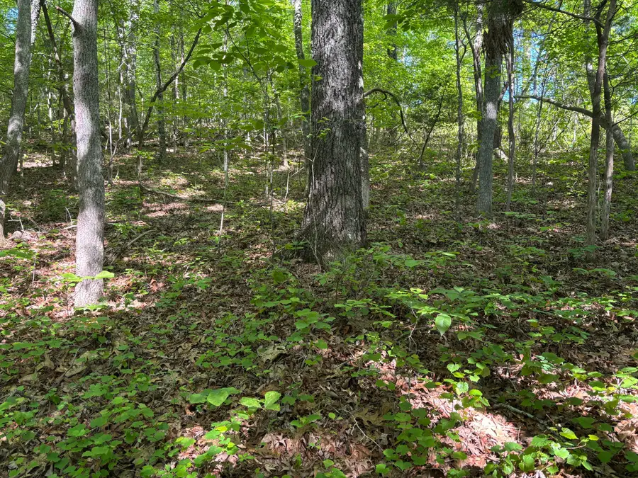 Lot 21-25 Van Davis Road Nw, Georgetown, TN 37336 - Image #3