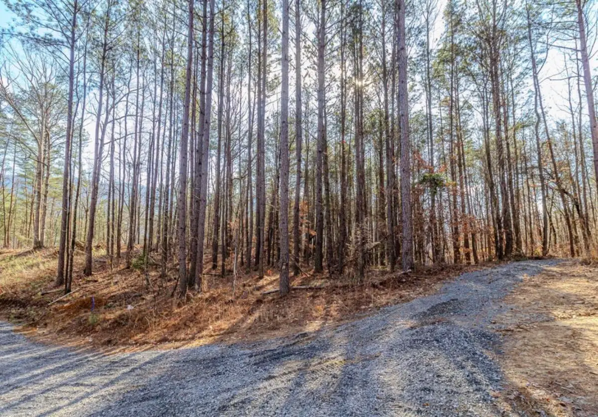 Lot 5 Parksville Road, Benton, TN 37307 - #1