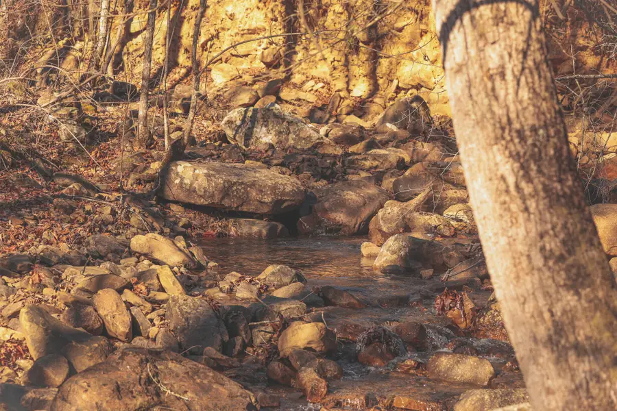 3229 Old State Highway 28, Dunlap, TN 37327 - Image #3