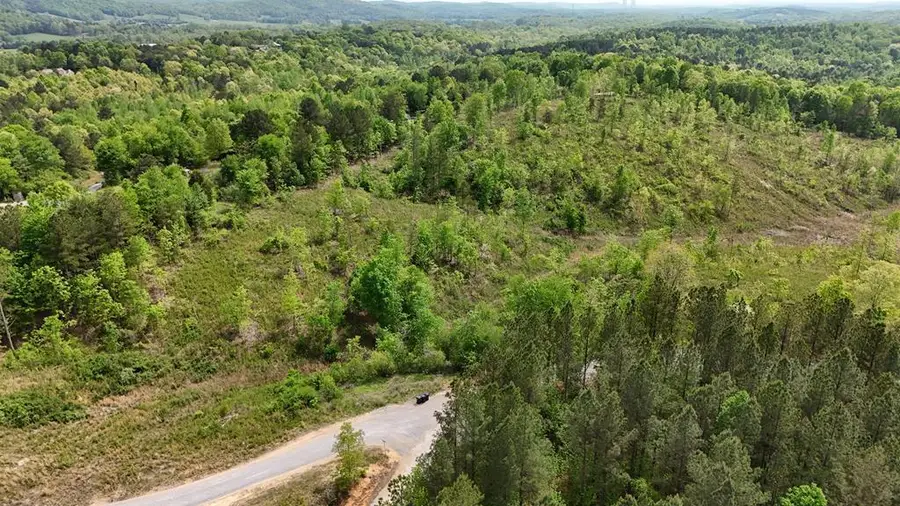 Lot 7 Eldridge Road, Birchwood, TN 37308 - Image #3