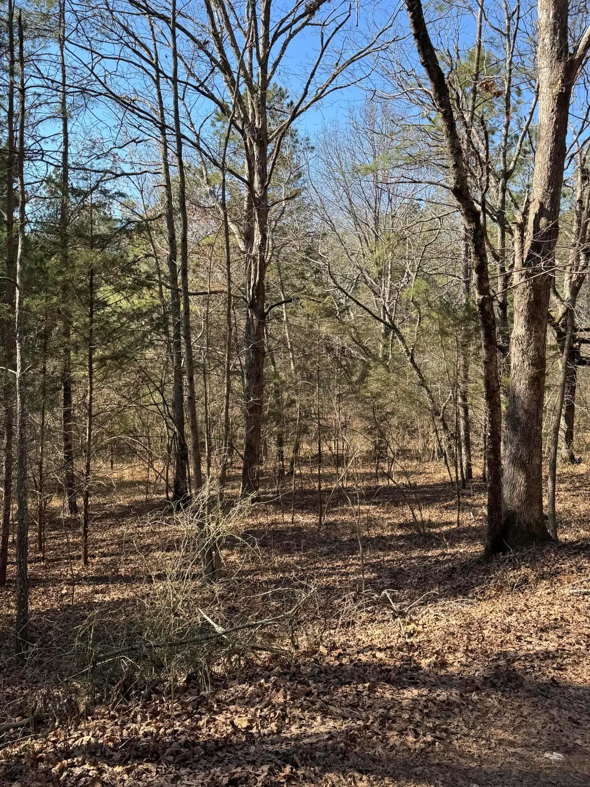 23.11 Ac John Wesley Trail, Harrison, TN 37341 - #1