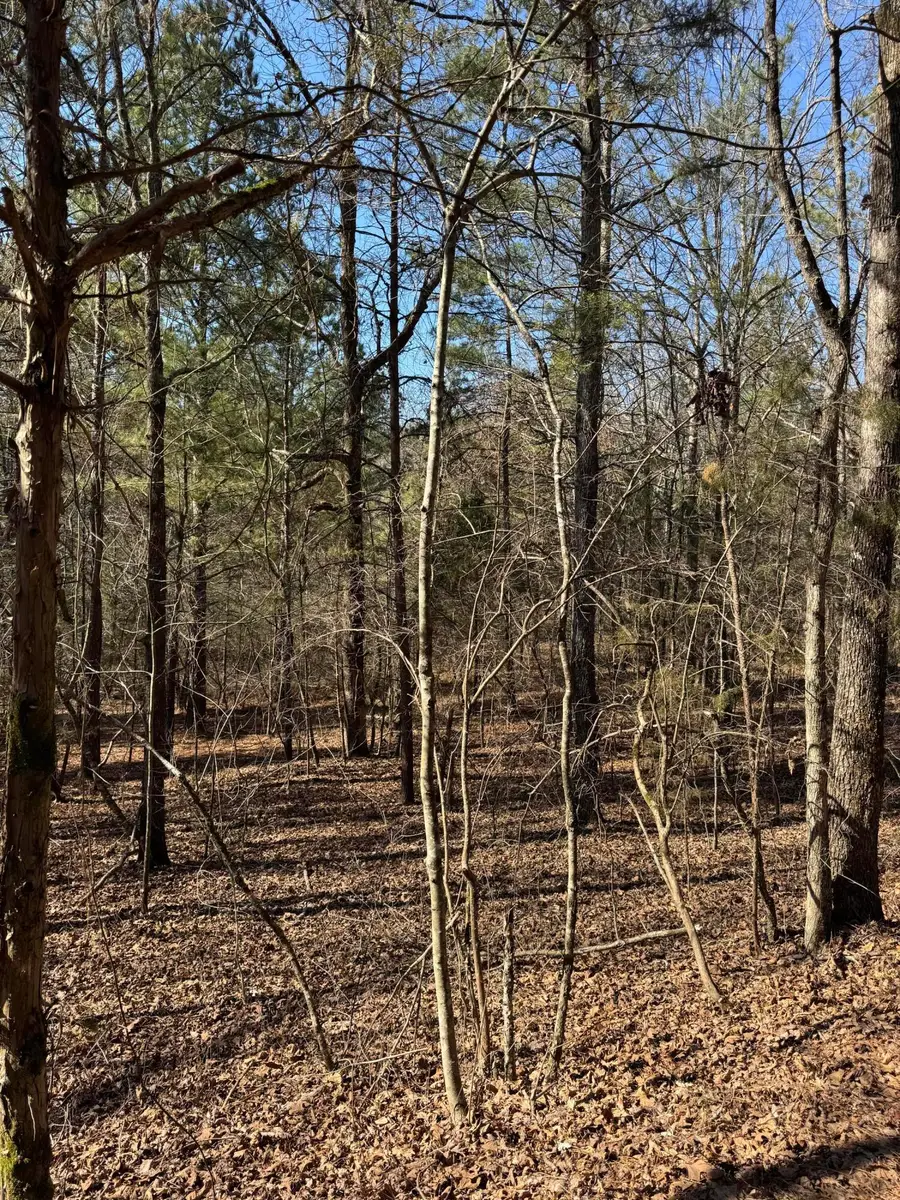 23.11 Ac John Wesley Trail, Harrison, TN 37341 - #2