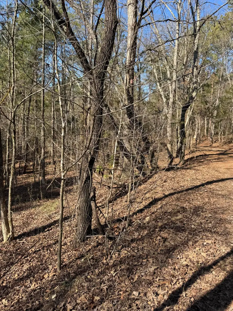 23.11 Ac John Wesley Trail, Harrison, TN 37341 - #3