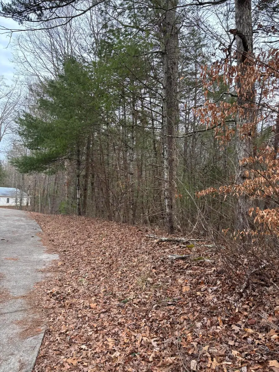 0 Maple Springs Road, Tellico Plains, TN 37385 - #2