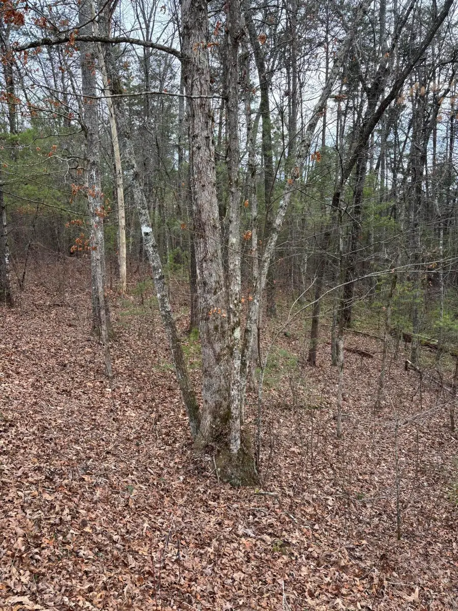 0 Maple Springs Road, Tellico Plains, TN 37385 - #3