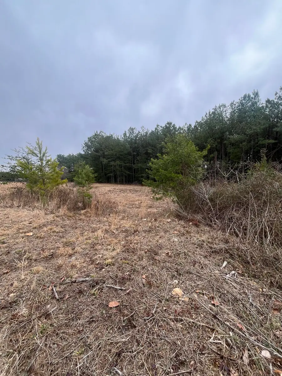 280 Stewart Road, Graysville, TN 37338 - #3