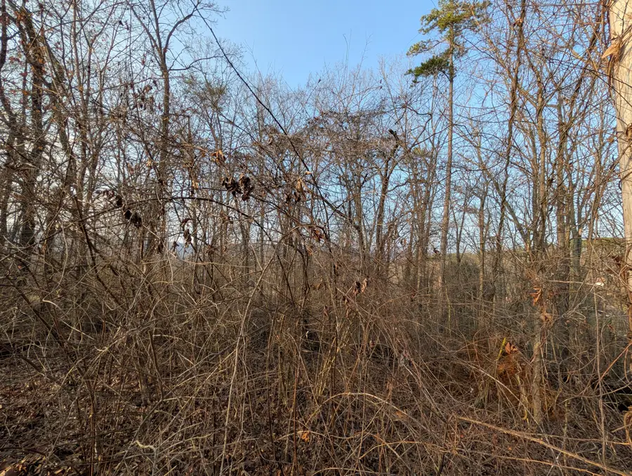 00 Pine Breeze Circle, Rockwood, TN 37854 - #3