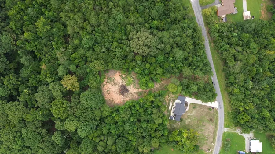1399 Pin Hook Road, Spring City, TN 37381 - #2