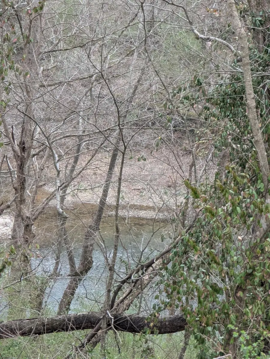 212 Bluff Street, McMinnville, TN 37110 - #3