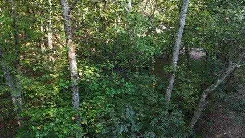 000 Lower River Road Nw, Georgetown, TN 37336
