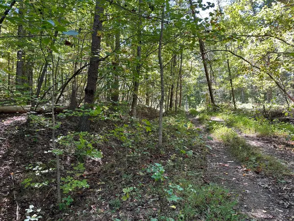 Lot 412 Smith Road, Spring City, TN 37381