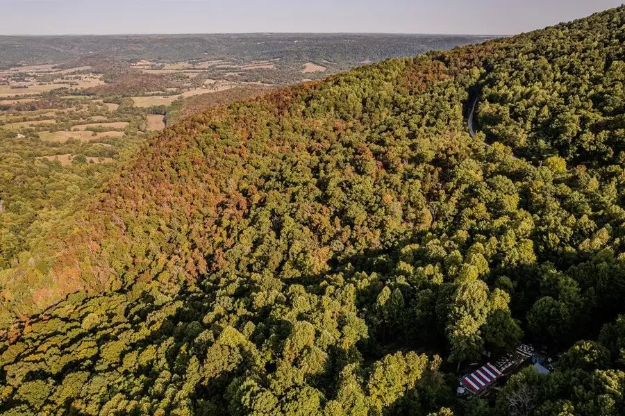 Lot 8a/8b Dunlukin Drive, Spring City, TN 37381 - #2