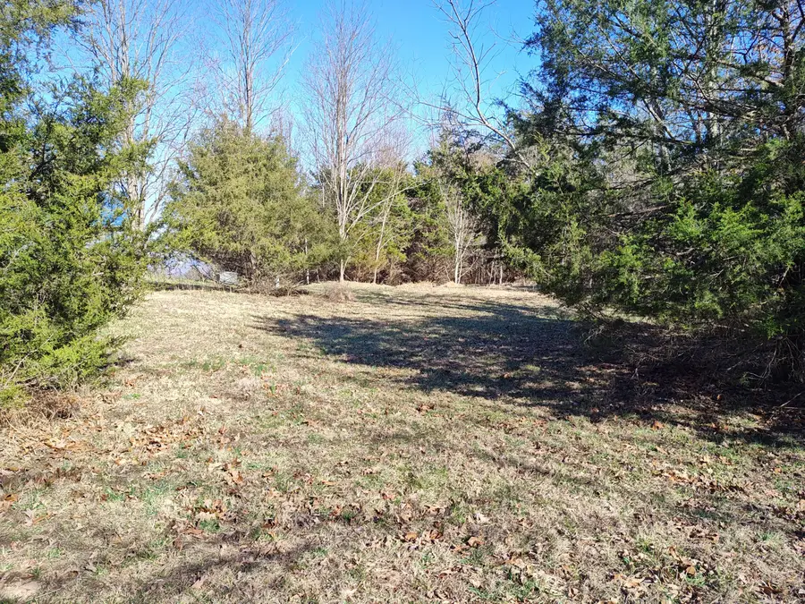 0 Skyhigh Trail, Dunlap, TN 37327 - #3