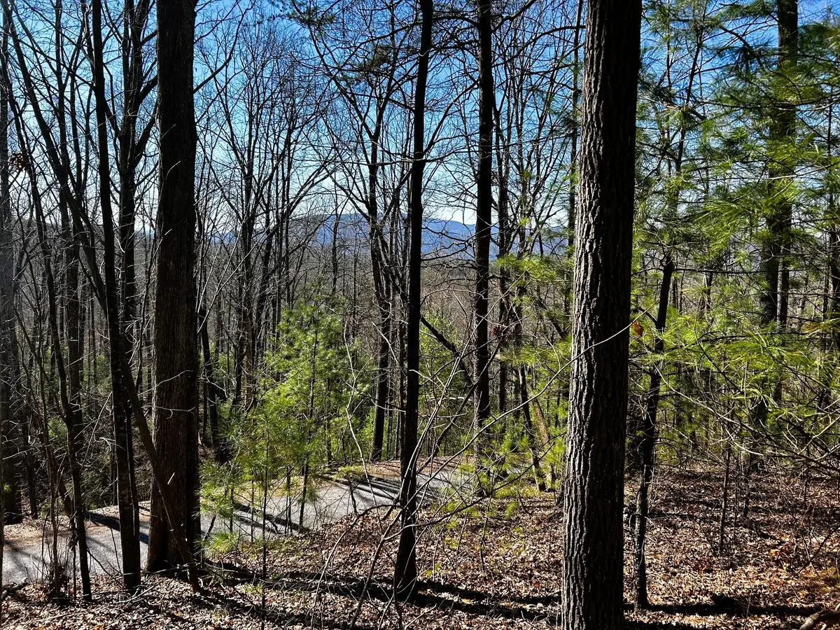 107/125 Chestnut Mountain Road, Reliance, TN 37369 - #1