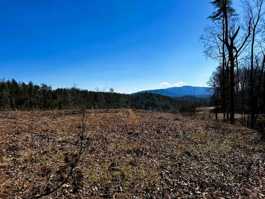 107/125 Chestnut Mountain Road, Reliance, TN 37369 - #3