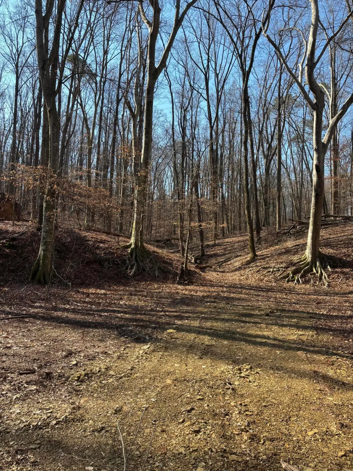 0 Johnson Rd Se Road Se, Cleveland, TN 37323 - #1