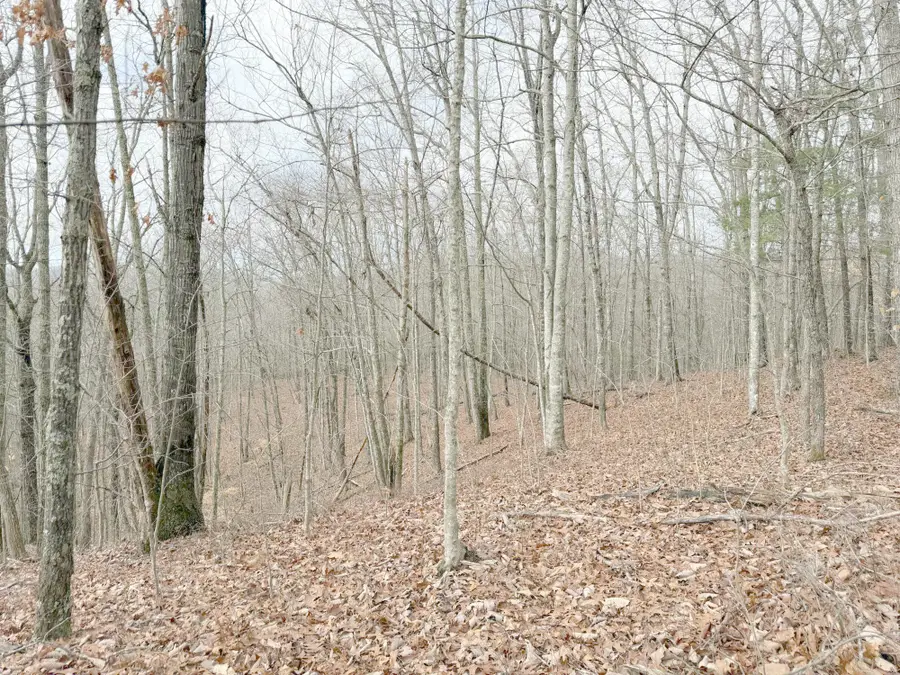 0 Grouse Ridge Road, Harriman, TN 37748 - #3