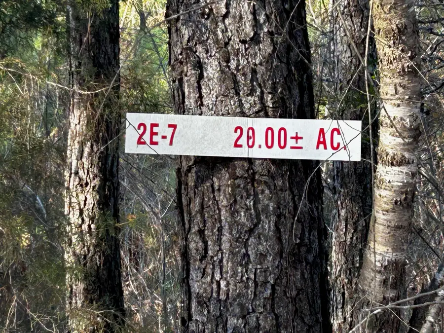 Tract 2e-7 Charles Road, Decatur, TN 37322 - #2