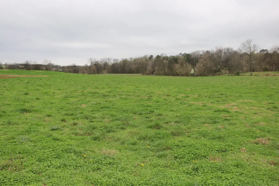 10.62 Acrs Campground, Madisonville, TN 37354 - #2