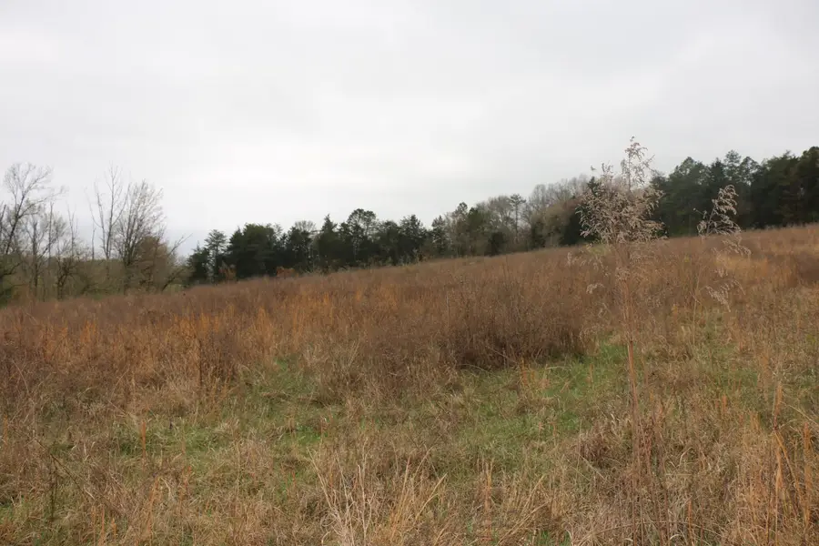 10.62 Acrs Campground, Madisonville, TN 37354 - #3