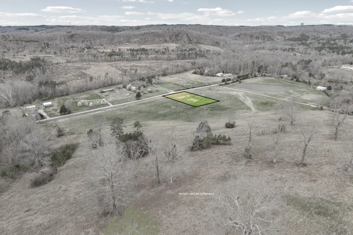Lot 4 N Nopone Valley Road, Decatur, TN 37322 - #1
