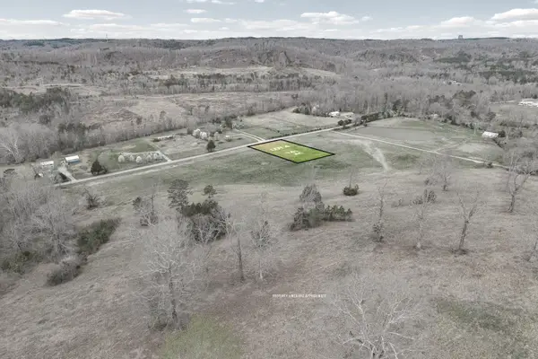 Lot 4 N Nopone Valley Road, Decatur, TN 37322