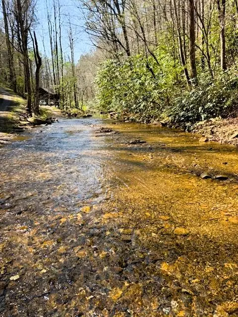 7.68 Ac Ellis Creek Road, Reliance, TN 37369 - #1