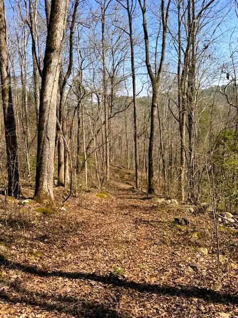 7.68 Ac Ellis Creek Road, Reliance, TN 37369 - #3