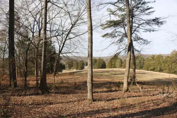 Lot 2 Highway 39w, Athens, TN 37303