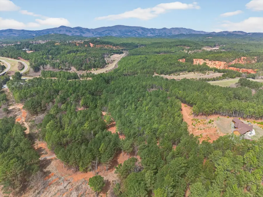 5333 Highway 64, Lot 3, Copperhill, TN 37317 - #2