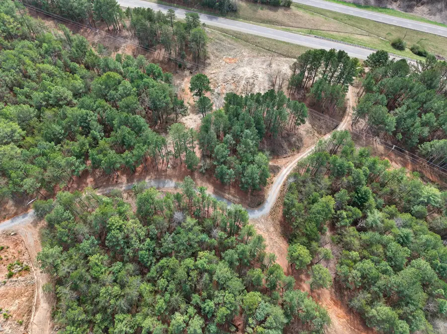 5333 Highway 64, Lot 5, Copperhill, TN 37317 - #3