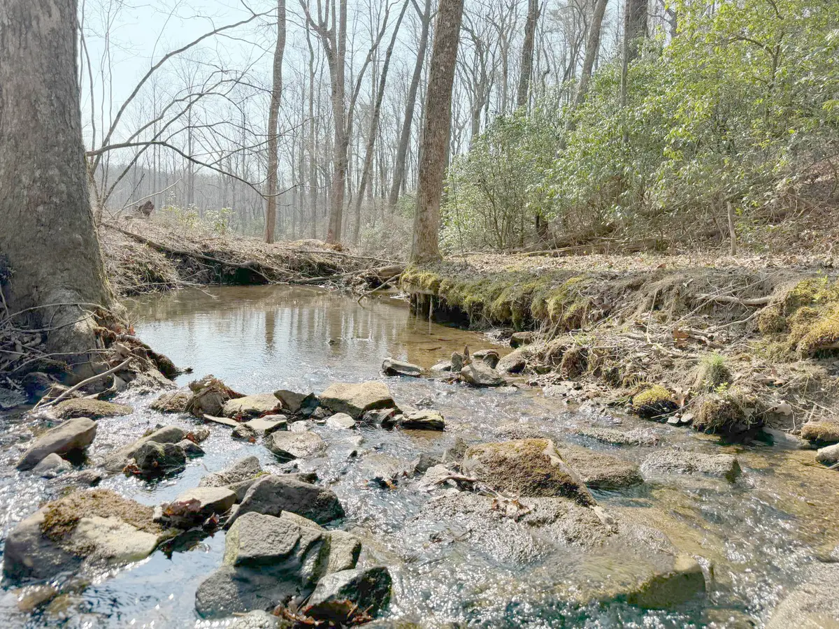 1065 Deerhead Road, Dunlap, TN 37327 - #1