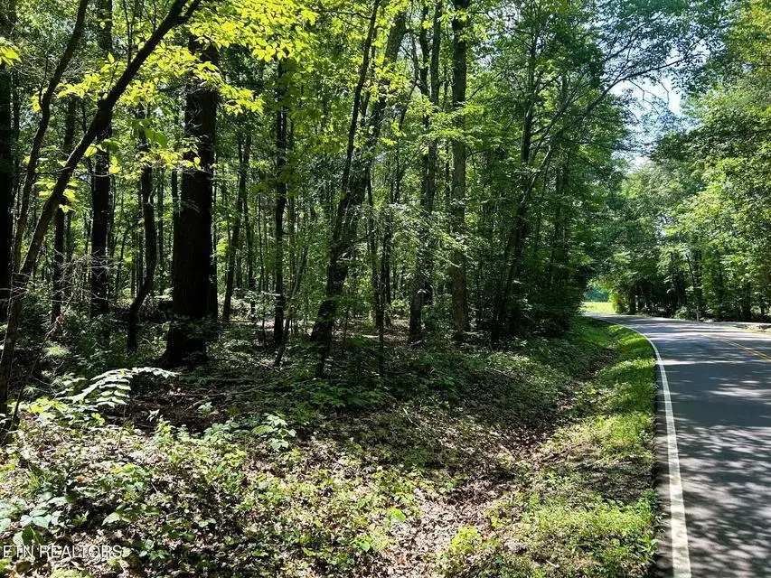 Tract 5 Pleasant Hill Rd Road, Ten Mile, TN 37880 - #3