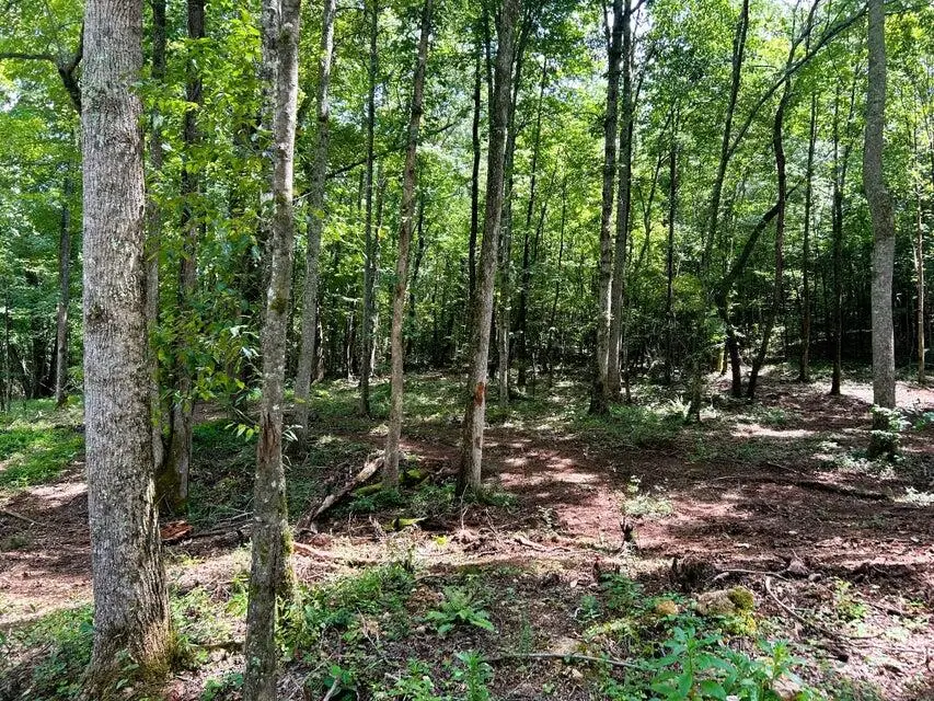 Tract 8 Pleasant Hill Road, Ten Mile, TN 37880 - #3