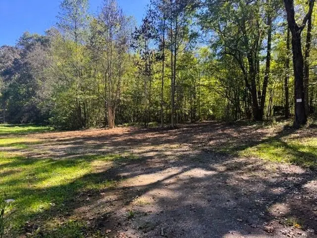 Tract 9 Pleasant Hill Road, Ten Mile, TN 37880 - #2