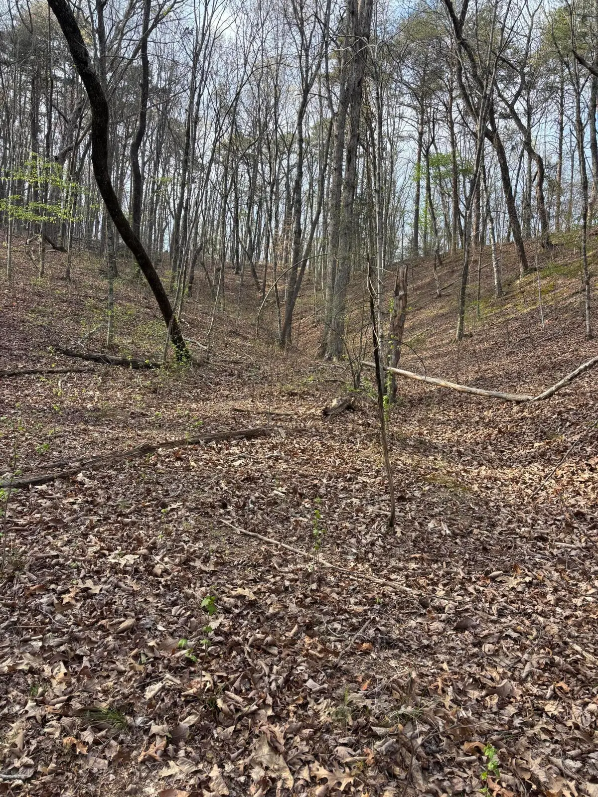 408 Back Valley Road, Sale Creek, TN 37373 - #1