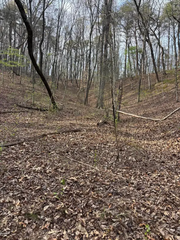 408 Back Valley Road, Sale Creek, TN 37373