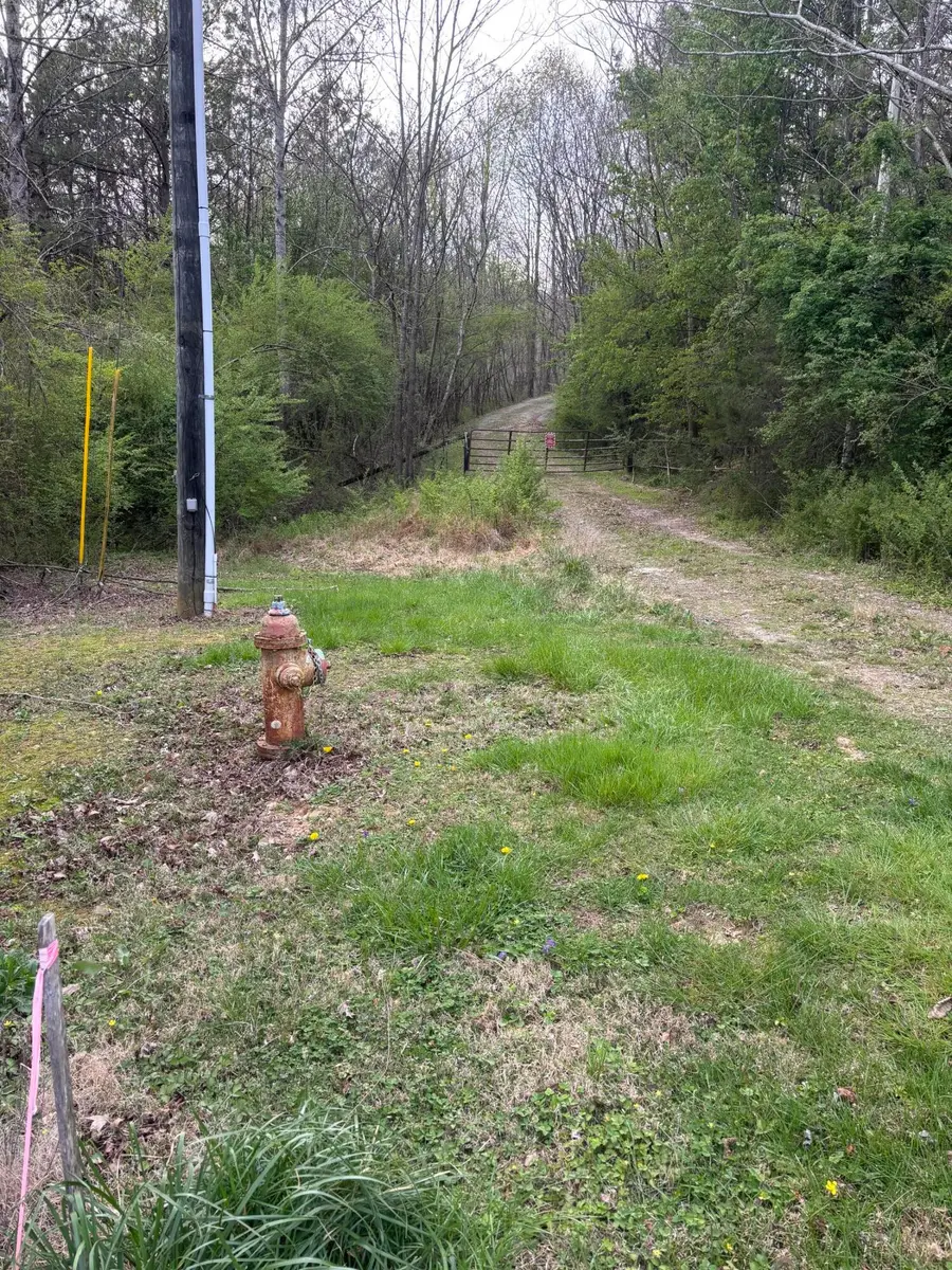 408 Back Valley Road, Sale Creek, TN 37373 - #2