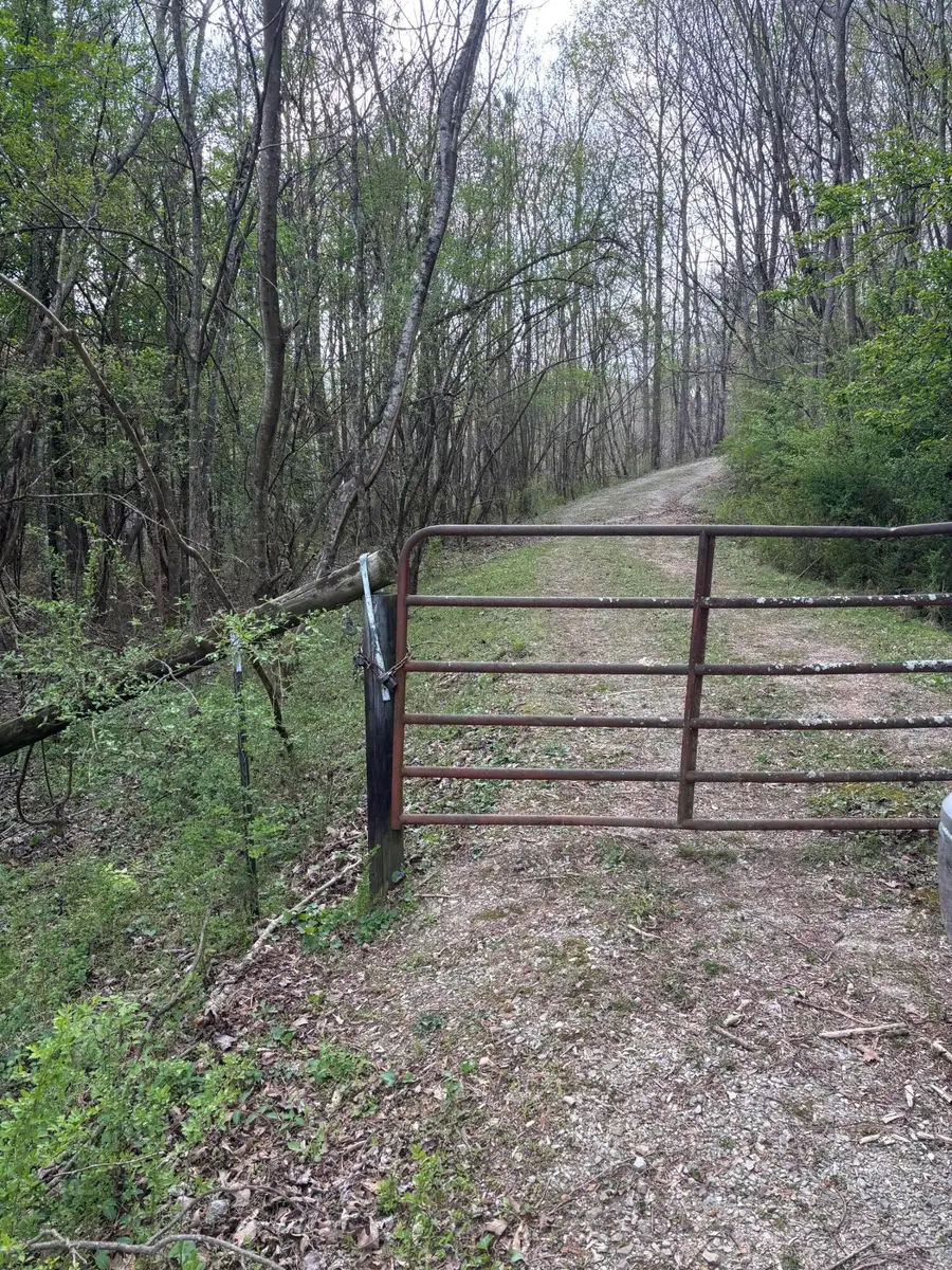 408 Back Valley Road, Sale Creek, TN 37373 - #3