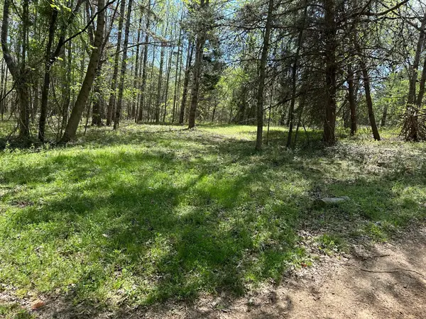 0 White Pine Rd Off Road, Harriman, TN 37748