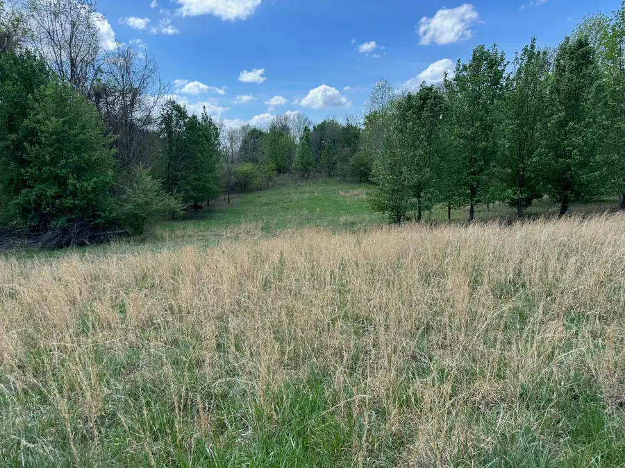 0 White Pine Rd Off Road, Harriman, TN 37748 - #3