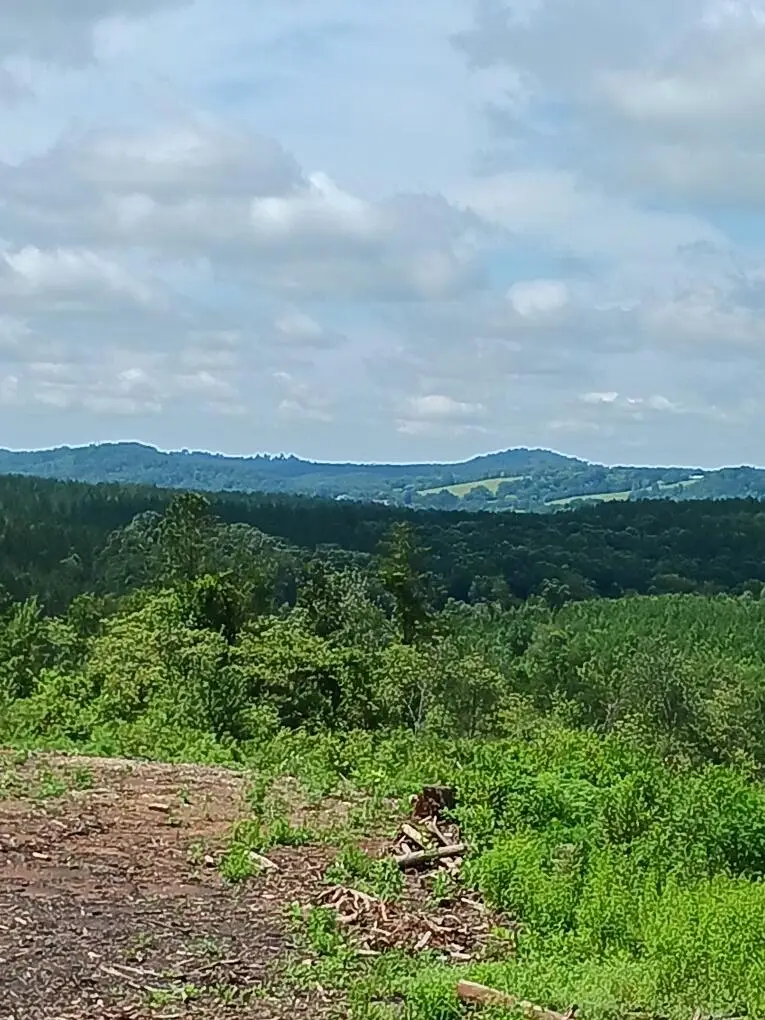 360 County Road 963, Calhoun, TN 37309 - #1