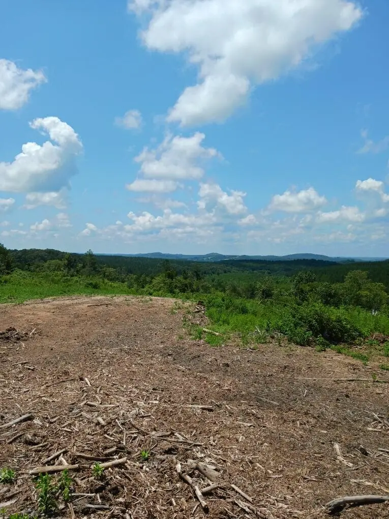 360 County Road 963, Calhoun, TN 37309 - #3