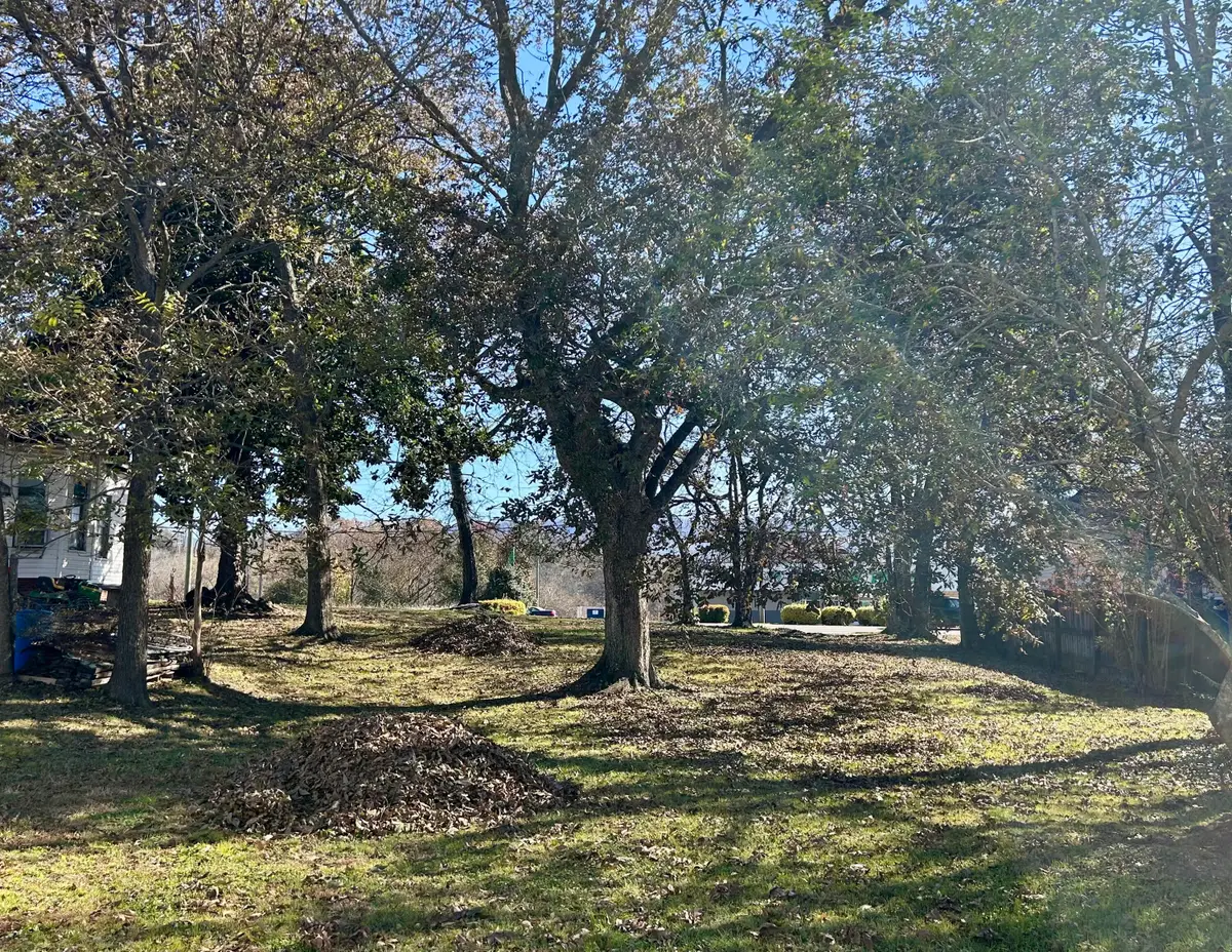 410 Tennessee Avenue, Etowah, TN 37331 - #1