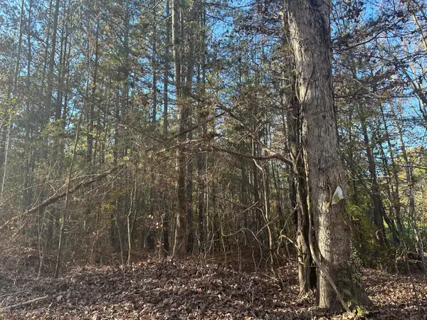 0 Redman Lane, Decatur, TN 37322