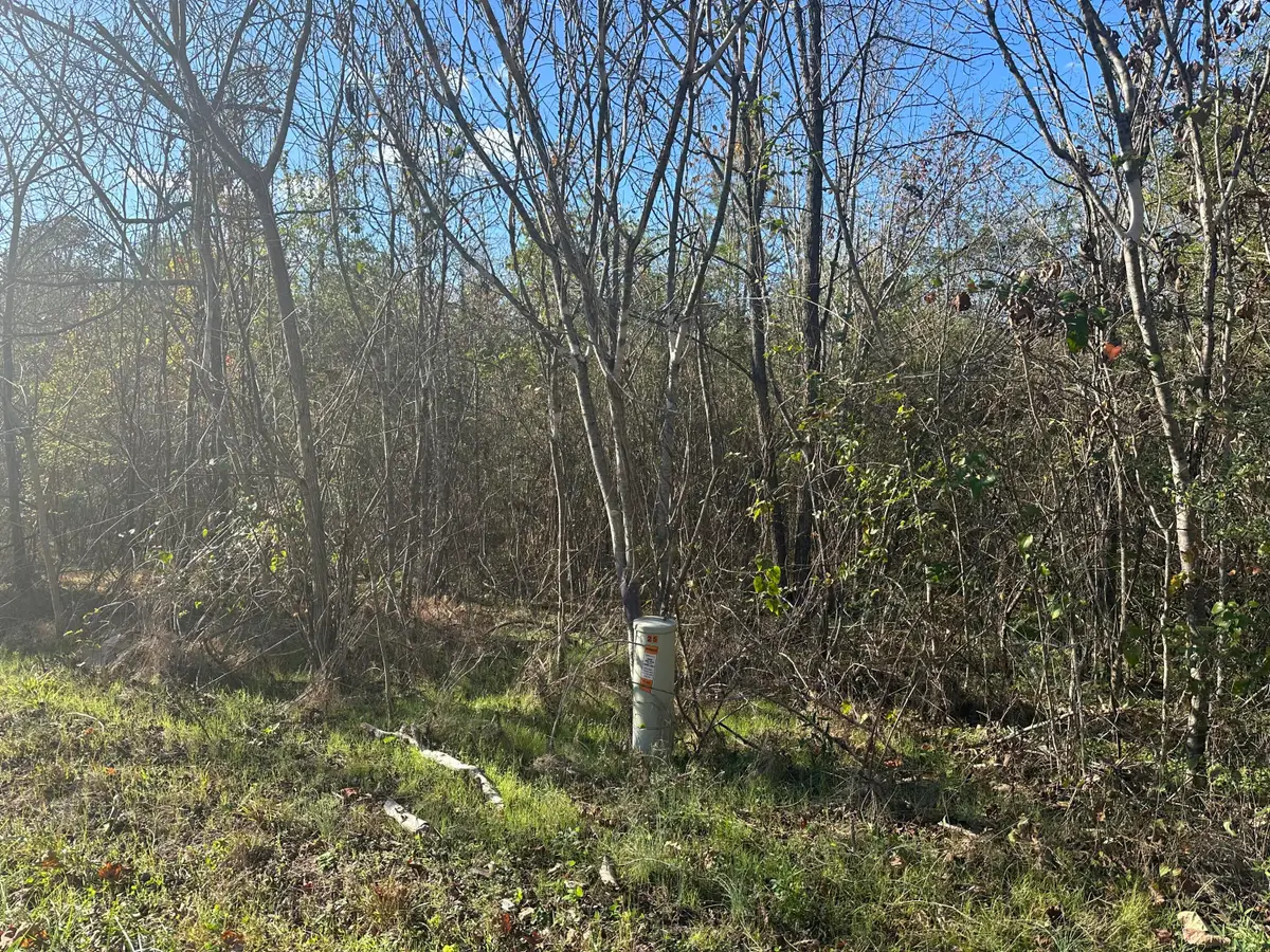 00 Mt Carmel Road, Decatur, TN 37322 - #1