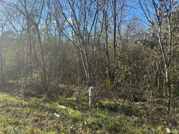 00 Mt Carmel Road, Decatur, TN 37322