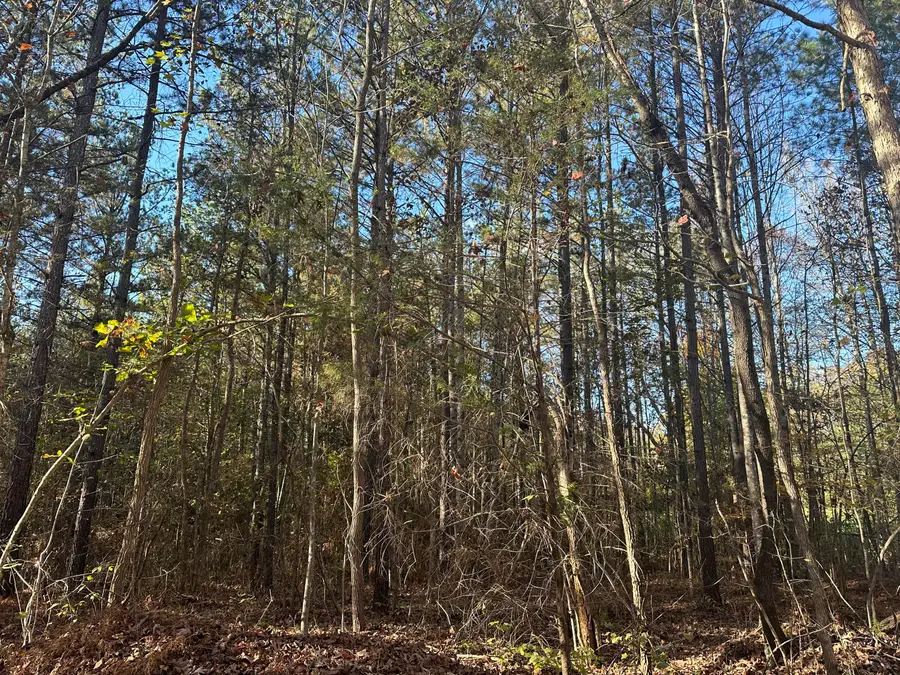 00 Mt Carmel Road, Decatur, TN 37322 - #2